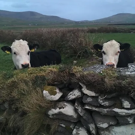 Gort A Phump Bed & Breakfast Ballydavid