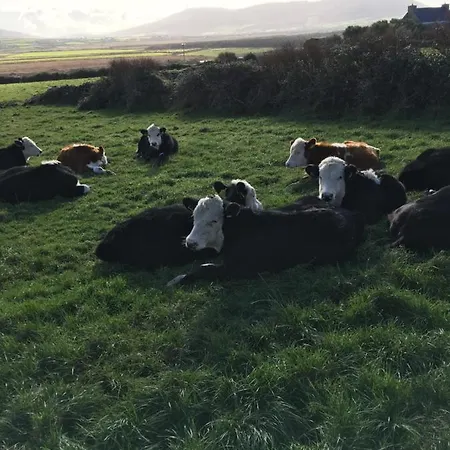Bed & Breakfast Gort A Phump Ballydavid