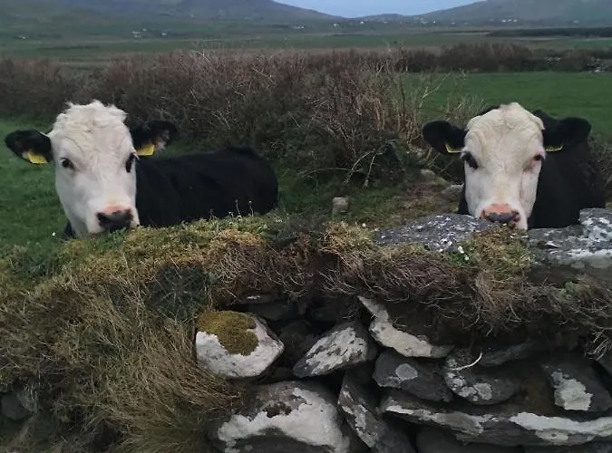 Gort A Phump Oda ve Kahvaltı Ballydavid